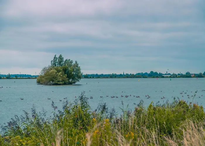 Sustainable Water With Sauna *